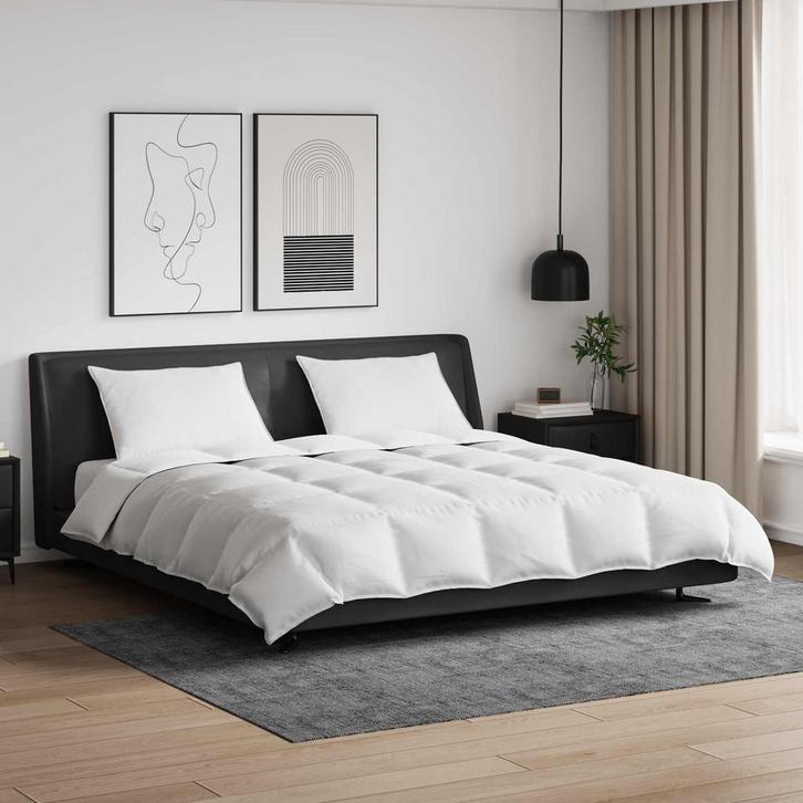 vidaXL Deken Set met kussen 3 pcs Wit Donsveer, Maison & Meubles, Chambre à coucher | Linge de lit, Envoi