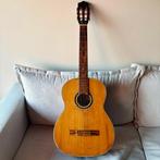 Tokai - Tokai Guitar - - Akoestische gitaar - Japan - 1965, Nieuw