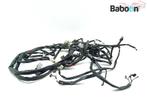 Faisceau de câblage Benelli Adiva 150 2002-2006 D101, Motos, Pièces | Autre