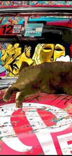 Reinaldo Ortega Sardiñas XXI - EN NOMBRE DE AMERICA - GATO, Antiek en Kunst, Kunst | Schilderijen | Modern