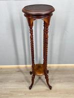 Schitterende piëdestal plantentafel - Table à plantes - Bois, Antiek en Kunst