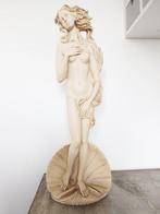 Beeld, Statua Venere del Botticelli - 60 cm - Hars