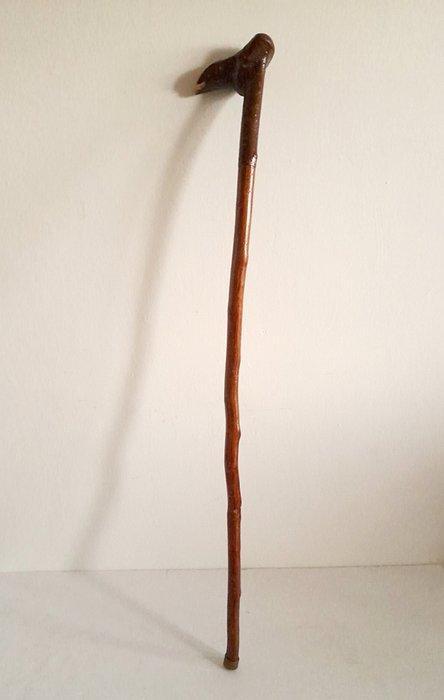 Wandelstok - Hout, Messing - Landelijke rietstengel, Antiek en Kunst, Curiosa en Brocante