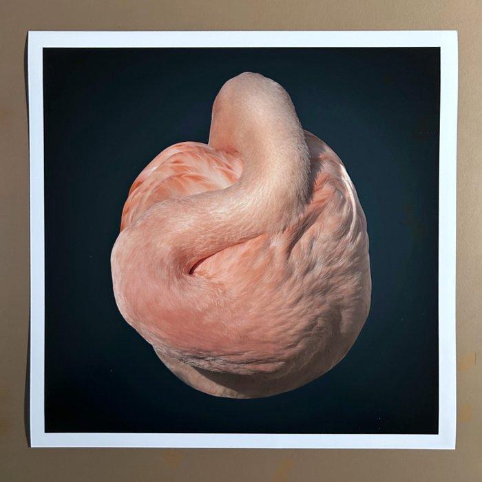 Ralph Hargarten - Flamingo, Antiek en Kunst, Kunst | Designobjecten