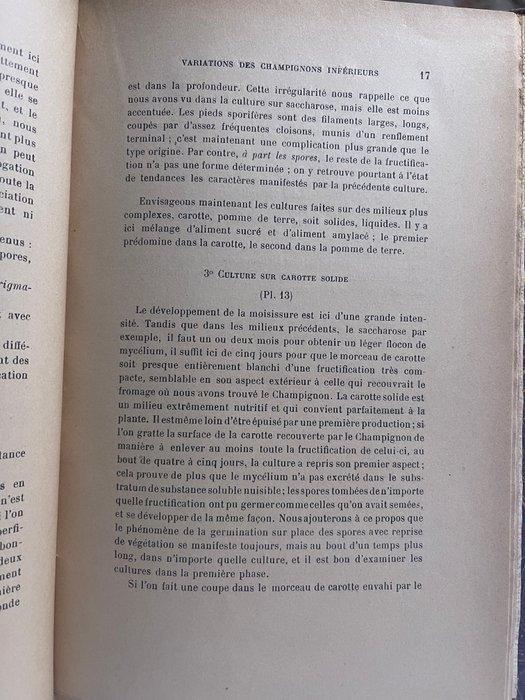 Julien Ray - Variation des champignons inférieurs sous, Antiek en Kunst, Antiek | Boeken en Manuscripten