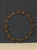 Halsketting - Bamileke ketting - Bamileke - Kameroen -, Antiek en Kunst