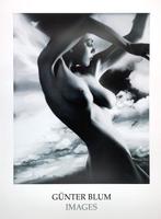 Günter Blum - Butterfly, 1992 - Artprint - 80 x 60 cm