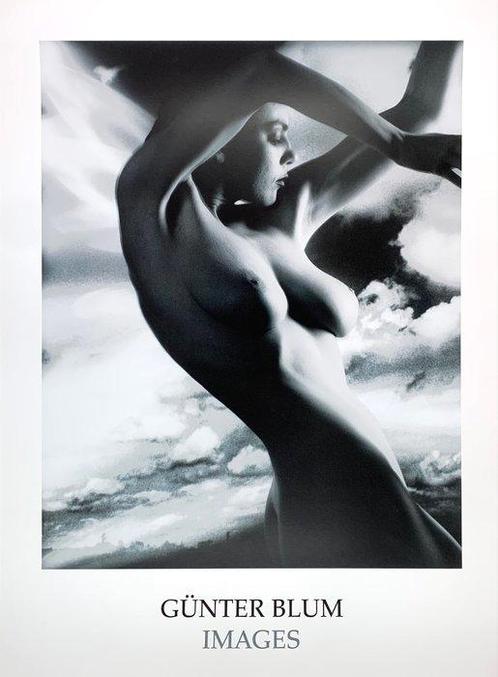 Günter Blum - Butterfly, 1992 - Artprint - 80 x 60 cm, Antiquités & Art, Art | Dessins & Photographie