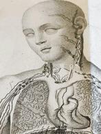 William Cruikshank - Anatomie des Vaisseaux Absorbans du