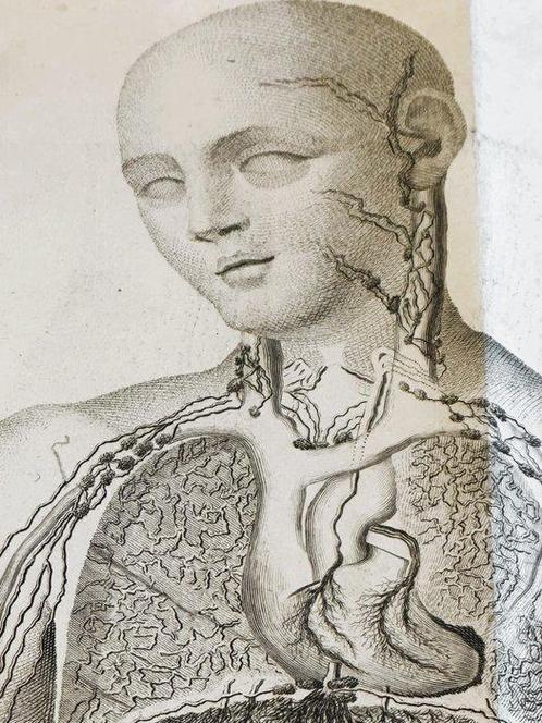 William Cruikshank - Anatomie des Vaisseaux Absorbans du, Antiek en Kunst, Antiek | Boeken en Manuscripten