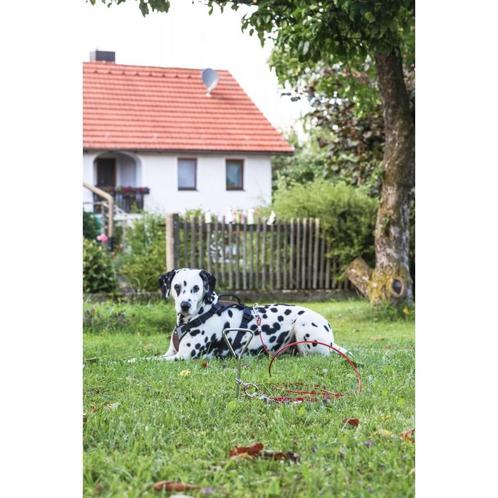 Laisse dattache avec ancrage  spirale - kerbl, Dieren en Toebehoren, Honden-accessoires