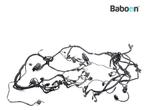 Kabelboom BMW F 800 GS 2008-2012 (F800GS 08), Verzenden, Gebruikt