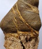 Jasper Oude Chinese geleerdenrots - 190 mm