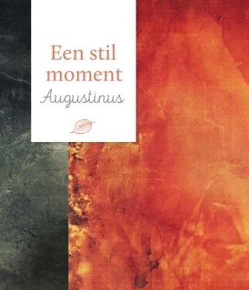 Augustinus / Een stil moment 9789043526432, Boeken, Godsdienst en Theologie, Zo goed als nieuw, Verzenden
