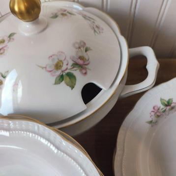 Manufacture Scherzer & Co - Tafelservies (13) - Bavariaanse
