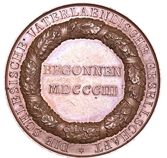 Duitsland. Medal 1803 Silesian Patriotic Society Medal – H., Postzegels en Munten, Munten en Bankbiljetten | Toebehoren