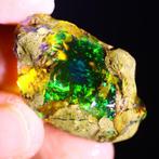 31 ct - Kristal opaal - Ruw- 6.2 g