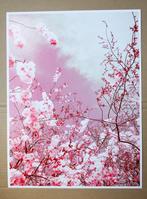 Viet Ha Tran - The colors of spring I