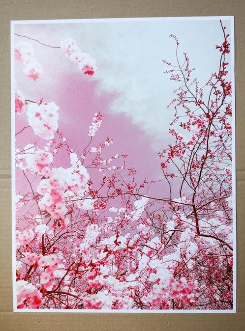 Viet Ha Tran - The colors of spring I, Antiek en Kunst, Kunst | Schilderijen | Modern