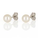 Oorbellen - 18 karaat Witgoud - Parel, Nieuw