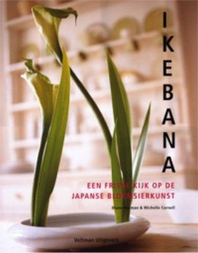 Ikebana 9789059202627 D. Norman, Boeken, Hobby en Vrije tijd, Gelezen, Verzenden