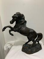 Beeld, Cavallo rampante - 30 cm - Brons (gepatineerd), Antiek en Kunst, Antiek | Keramiek en Aardewerk