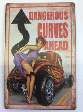 20X30cm metalen bord curves ahead