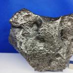 Météorite de fer XL Campo del Cielo (Argentine, 4500 ans)