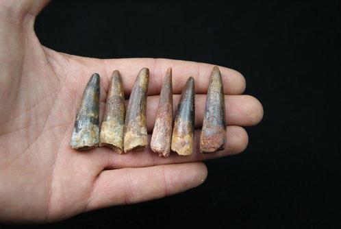 Collectie van emaille tee verschillende kleuren - Fossiele, Verzamelen, Mineralen en Fossielen