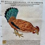 Conrad Gesner - De Gallinaceo.A.Lib III. - 1555