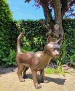 sculptuur, A Large bronze cat - 48 cm - Brons