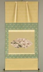 Fan Surface - Cherry Blossom with Original Box (Tomobako) -