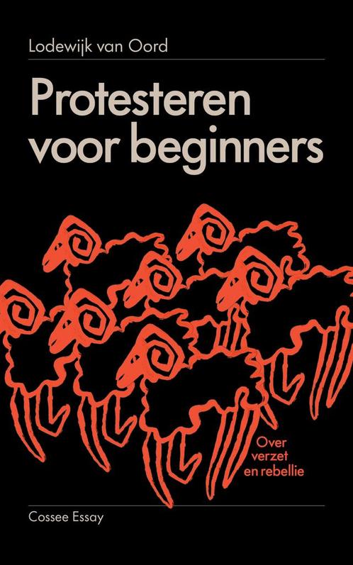 Protesteren voor beginners 9789464522006 Lodewijk van Oord, Boeken, Politiek en Maatschappij, Zo goed als nieuw, Verzenden