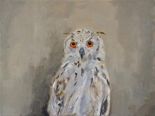 Matthieu van Riel - Owl, Antiek en Kunst, Kunst | Schilderijen | Modern