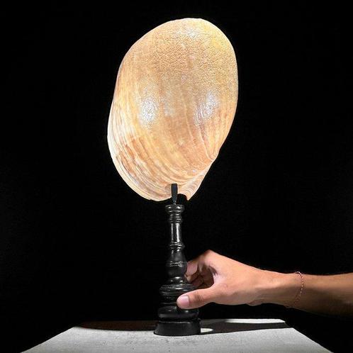 Ornement décoratif - NO RESERVE PRICE -C- A Pair of, Antiek en Kunst, Kunst | Designobjecten