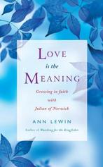 Love Is the Meaning 9781848250505, Ann Lewin, Verzenden