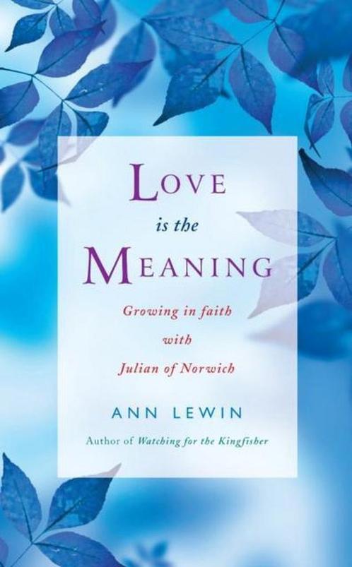 Love Is the Meaning 9781848250505, Livres, Livres Autre, Envoi