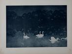 Francis Jourdain (1876-1958) - Les Cygnes