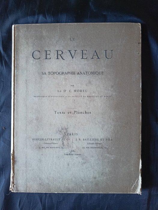 Dr. Charles Morel - Le Cerveau - 1880, Antiek en Kunst, Antiek | Boeken en Manuscripten