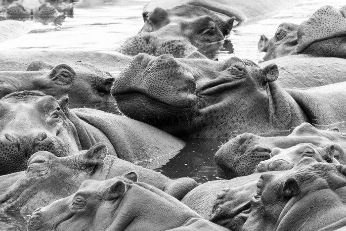 Marco Simoni - 1825 psi, Antiquités & Art, Art | Objets design