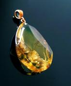 Baltische barnsteen - Hanger