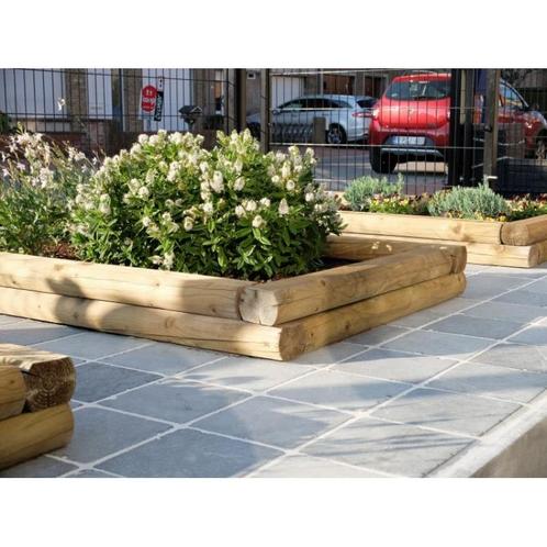 Mini biel hoogte 80cm 100*130mm - den, Tuin en Terras, Overige Tuin en Terras, Nieuw