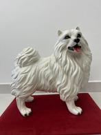 Beeld, Spitz - 50 cm - Keramiek, Antiek en Kunst