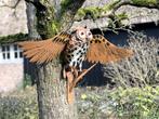sculptuur, Schitterende uil - Oehoe - Spanwijdte 96 cm -