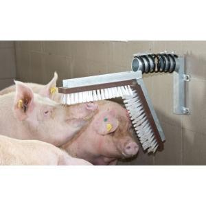 Brosse pour porcs, Articles professionnels, Agriculture | Aliments pour bétail