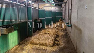 Gebruikte paardenstallen | Grote voorraad | Leveren mogelijk beschikbaar voor biedingen