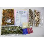 Indian Summer - Globetrotter, Verzenden