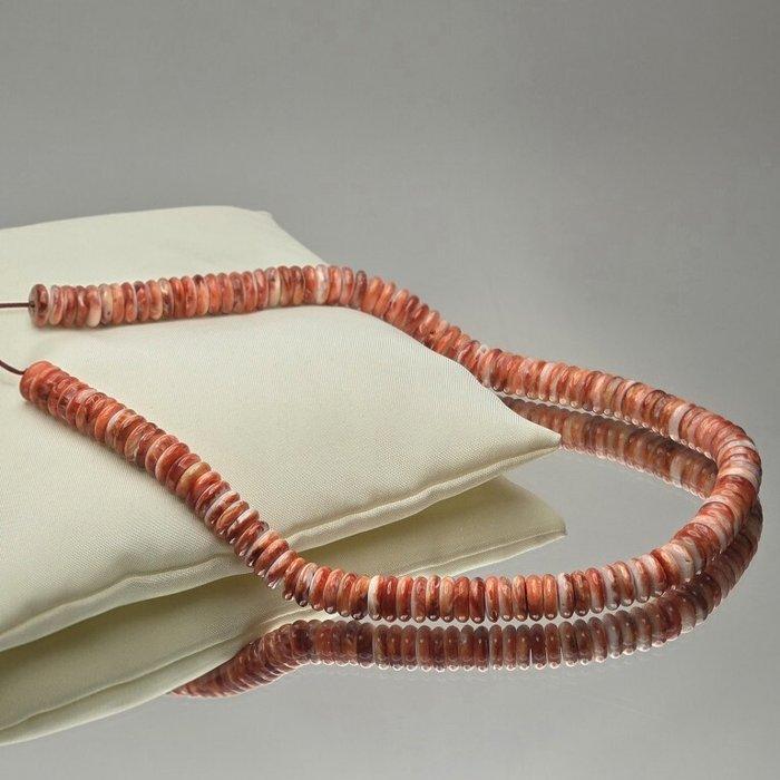 Natuurlijk rood-oranje spiraalvormig schelpdier met een, Verzamelen, Mineralen en Fossielen