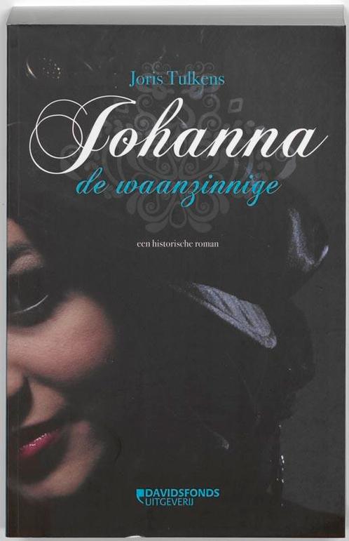 Johanna de Waanzinnige 9789063066253 Joris Tulkens, Boeken, Historische romans, Gelezen, Verzenden