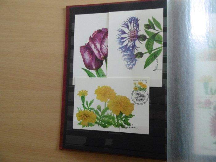 België - Verzameling maximumkaarten André Buzin - allemaal, Timbres & Monnaies, Timbres | Europe | Belgique